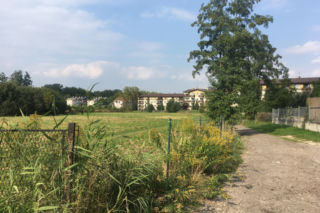 Łąki przy Kobierzyńskiej w Krakowie