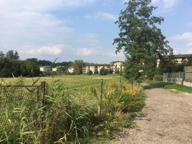 Łąki przy Kobierzyńskiej w Krakowie