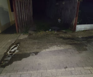 Zaszlachtował byłą na środku ulicy 