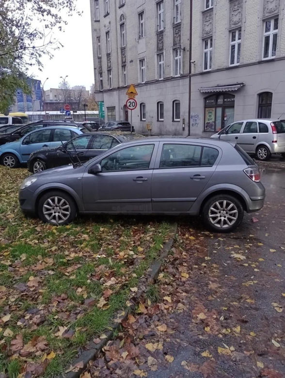 Miszczowie parkowania w Katowicach. Ich nikt tego nie nauczył