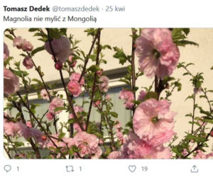 Tomasz Dedek publikuje niepokojące posty na Twitterze