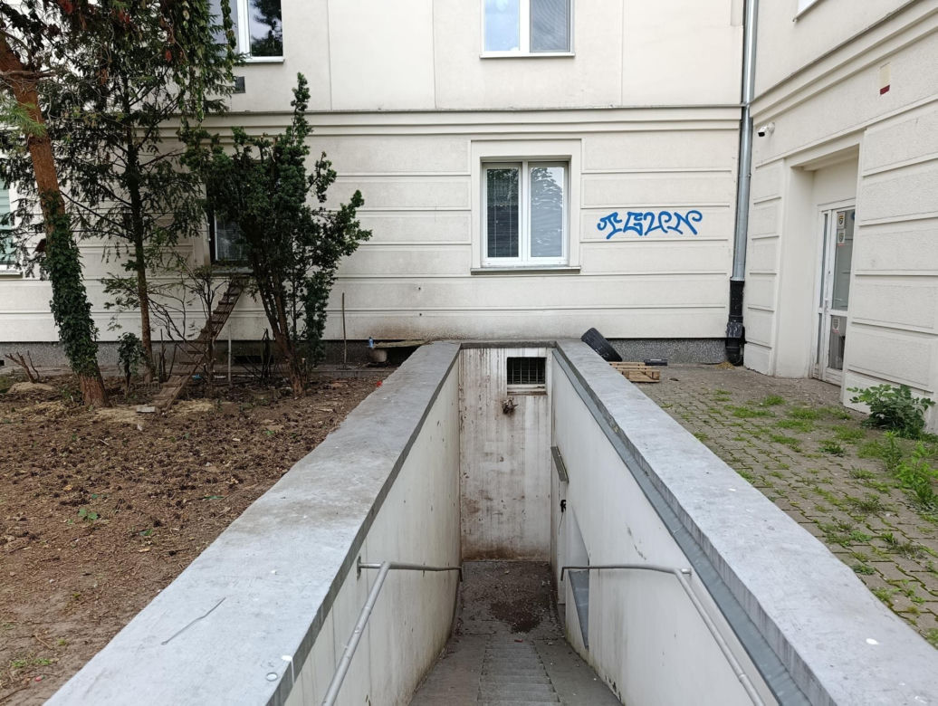  Żyją w symbiozie z gołębiami i kotami. Agresywne gryzonie opanowały blok w Warszawie