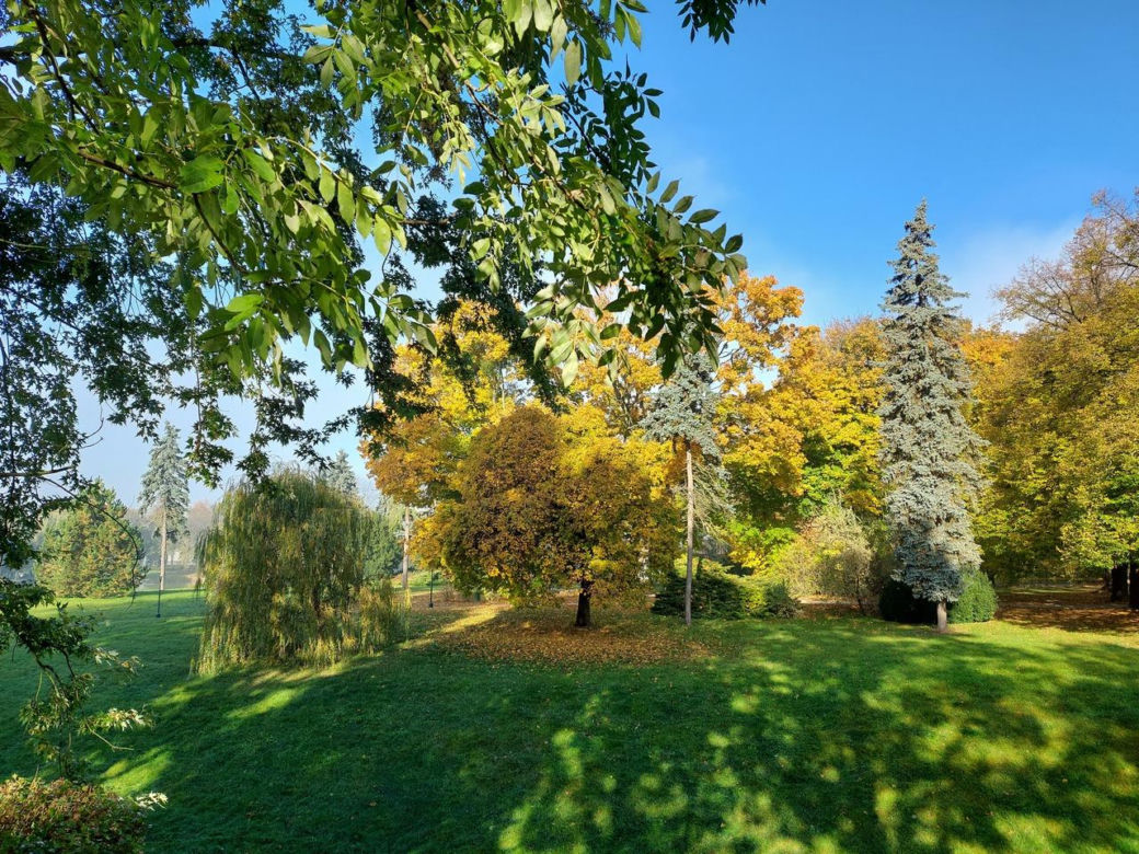 Zamojski Park jesienią