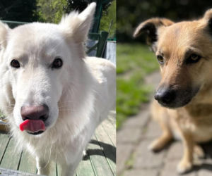 Małgorzata Ostrowska