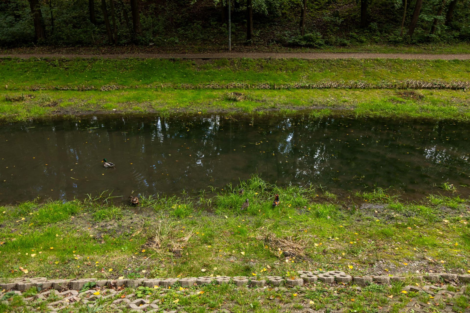 Fosa fortu Bema w Warszawie