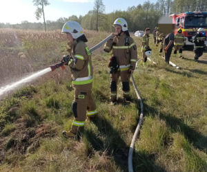 Pożar trzcinowisk pod Łukowem
