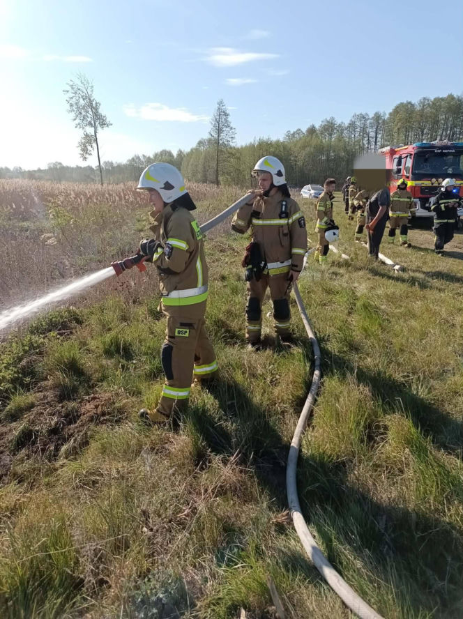 Pożar trzcinowisk pod Łukowem