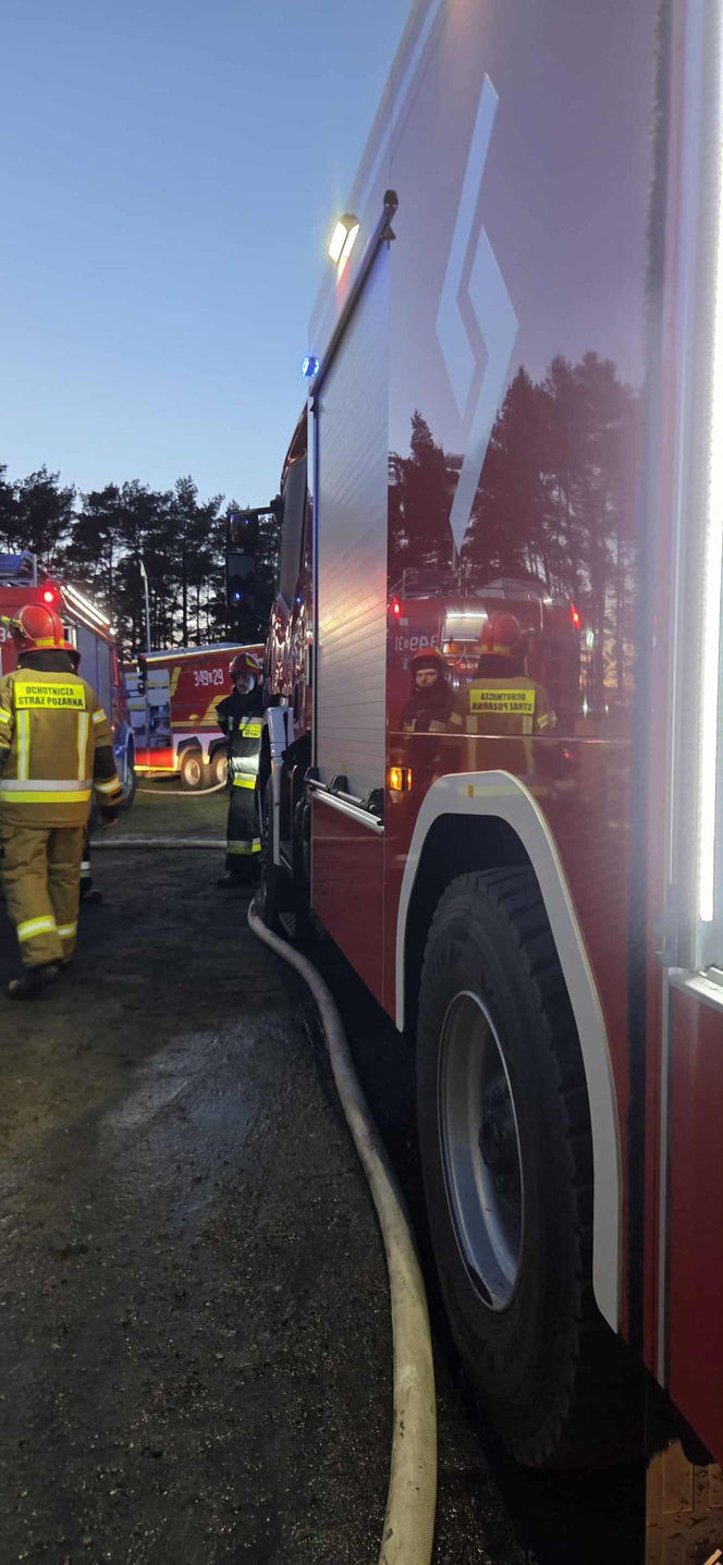 Ogień zmienił schronisko w zgliszcza! Straty są ogromne. „Jesteśmy zdruzgotani”