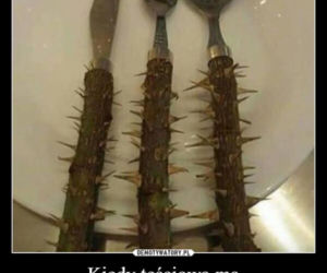 Tych memów o teściowych nie pokażesz mamie! Internauci nie mają litości