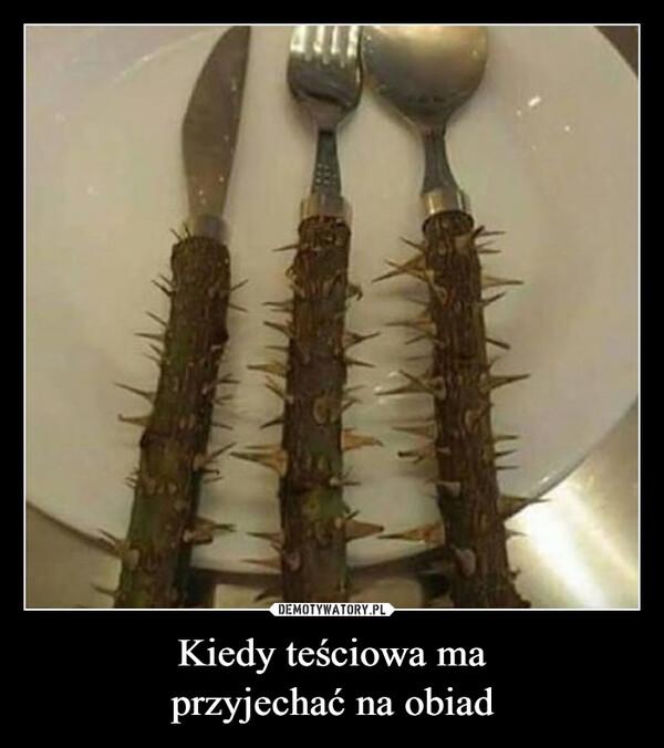 Tych memów o teściowych nie pokażesz mamie! Internauci nie mają litości