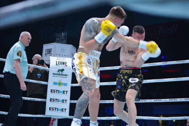 Kalinowski - Stępień