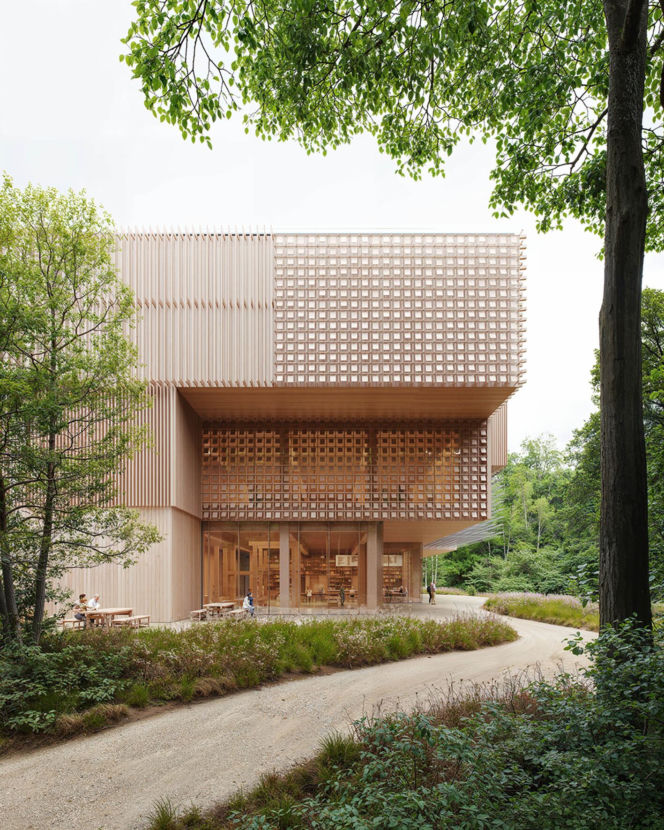 Projekt Xylopolis