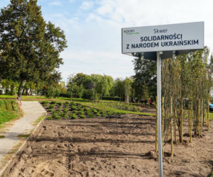 Skwer w Koninie jeszcze bardziej się zazieleni