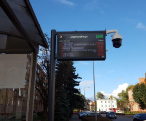 Leszno czeka na pierwsze autobusy elektryczne. Wiemy na jakich liniach będą jeździć