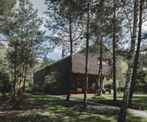 Jungle House - dom wśród drzew
