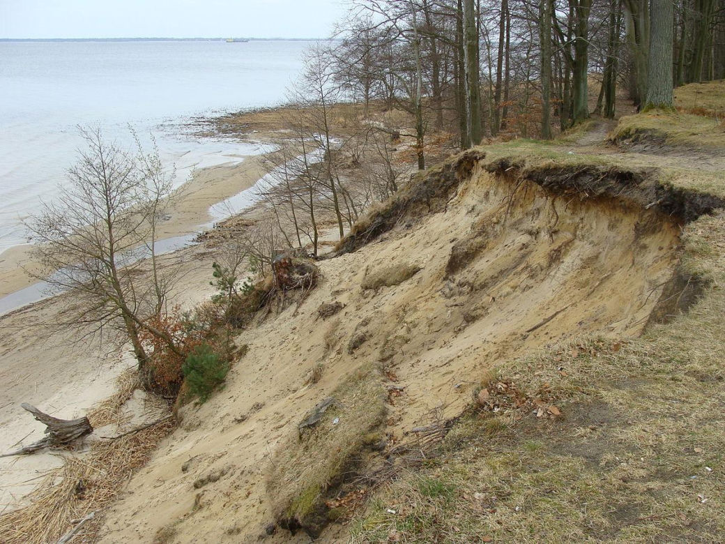 Brzózki