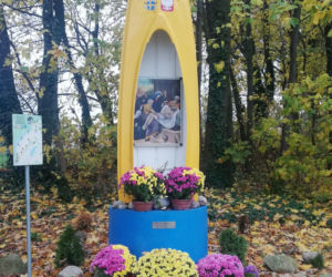 Wyjątkowo kolorowa jesień w Gminie Iława. Wszędzie chryzantemny!