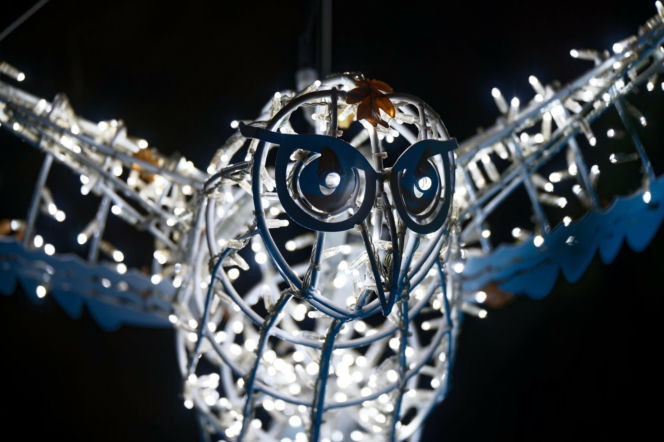 Świąteczne iluminacje w Warszawie