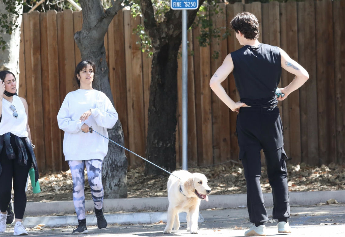 Shawn Mendes i Camila Cabello z psem na spacerze