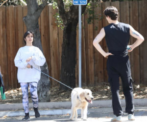 Shawn Mendes i Camila Cabello z psem na spacerze