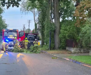 Skutki burz w Siedlcach i powiecie siedleckim