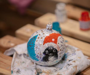 Bombki na ratunek ziwerzakom