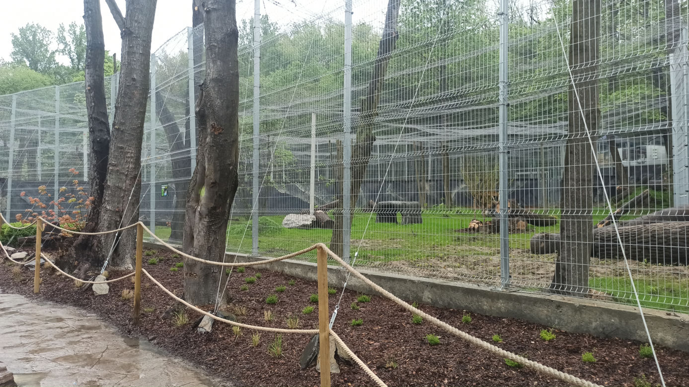 W śląskim ZOO powstała nowa woliera dla panter śnieżnych