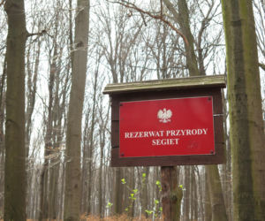 Rezerwat Segiet udostępni nowe szlaki dla mieszkańców