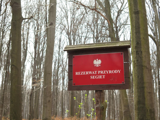 Rezerwat Segiet udostępni nowe szlaki dla mieszkańców