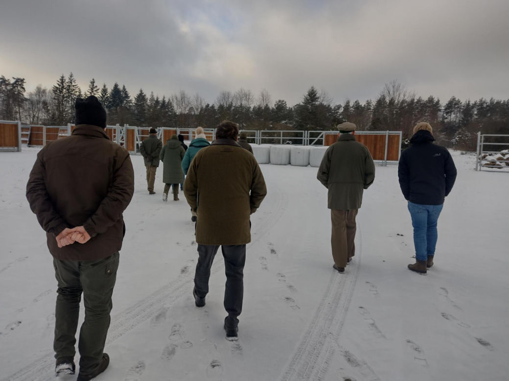 Pokazowa Zagroda Żubrów w Krajewie prawie gotowa [ZDJĘCIA]