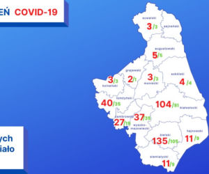 Koronawirus w Polsce. Najnowsze dane 14.05 godz. 10