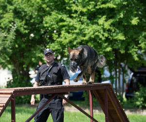 Turniej psów policyjnych w Zaczerniu koło Rzeszowa
