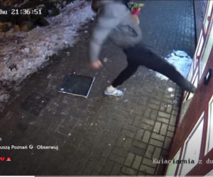 Roztrzaskał kwiatomat i uciekł z bukietem! „To boli bardziej niż strata pieniędzy”