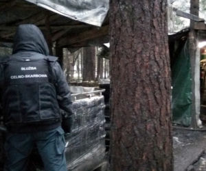 Krynki. Leśna bimbrownia zlikwidowania