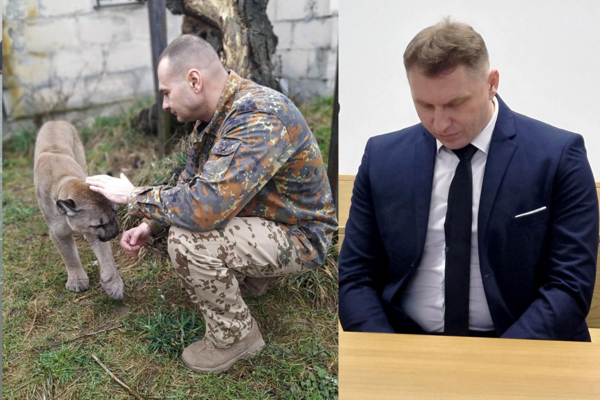 Trzymał w domu pumę. Został skazany