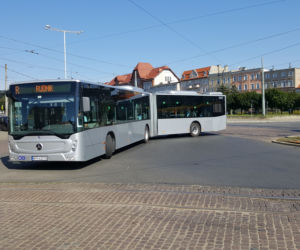 Pierwszy kurs autobusu przegubowego w Grudziądzu