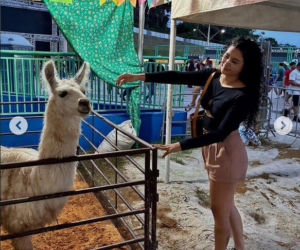 Fani w żałobie po śmierci znanej influencerki. Horror rozegrał się na drodze