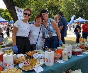 Wielki Piknik Aktywności i Pasji 