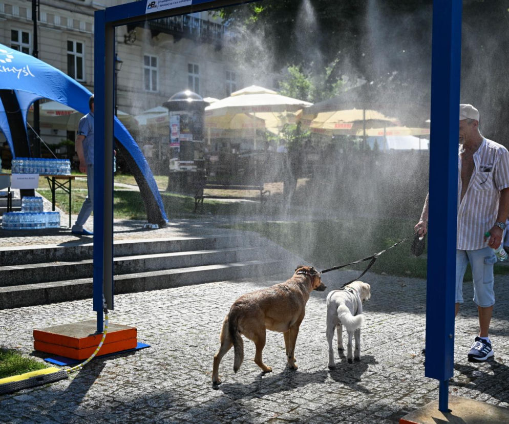 Mężczyzna w jasnej koszuli i czapce, stojący z dwoma psami pod kurtyną wodną, szukając ochłody przed upałem. Tło ukazuje miejski park z namiotem Przemyśl i stolikami z wodą. Więcej o rekordowych upałach przeczytasz na naszym portalu.