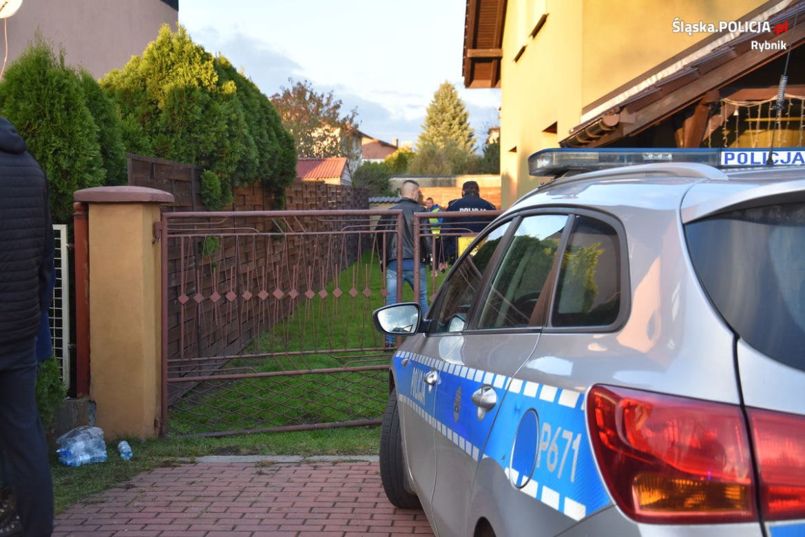 Służby zabrały psy i koty z domu w Rybniku. Były trzymane w bardzo złych warunkach
