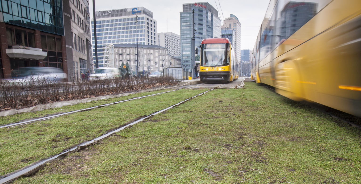 Tramwajarze zazielenili torowiska w centrum 