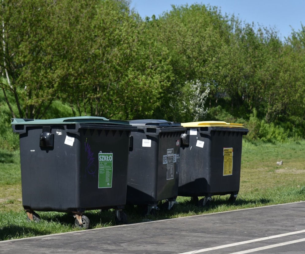 Kosze nad Wartą