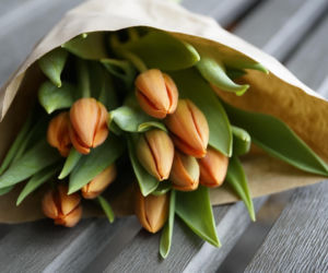 Tych kwiatów nie kupuj, jeśli nie chcesz spać w salonie. Nie uwierzysz, co oznaczają!