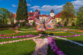 Zamek Książ w Wałbrzychu znów tonie w kwiatach. Ruszył festiwal Kwiatów w tym roku pod hasłem „Odyseja czasu”