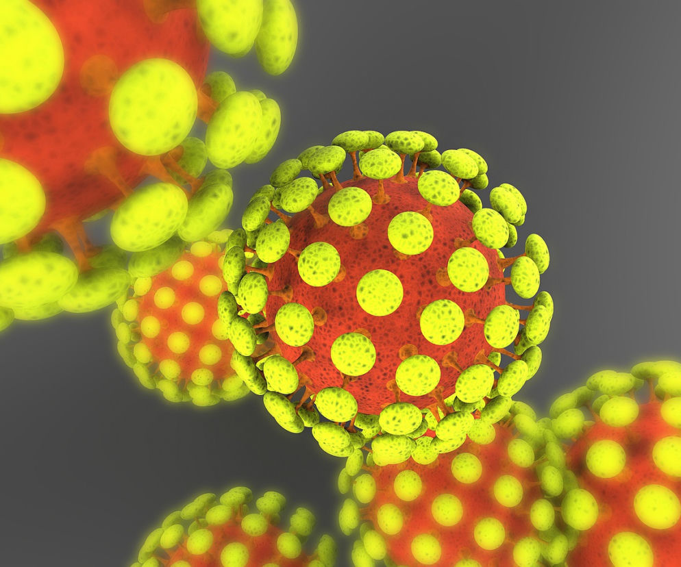 coronawirus