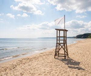 Sinice Gdynia. Czy w Gdyni można się kąpać 31.07? Flaga, warunki pogodowe