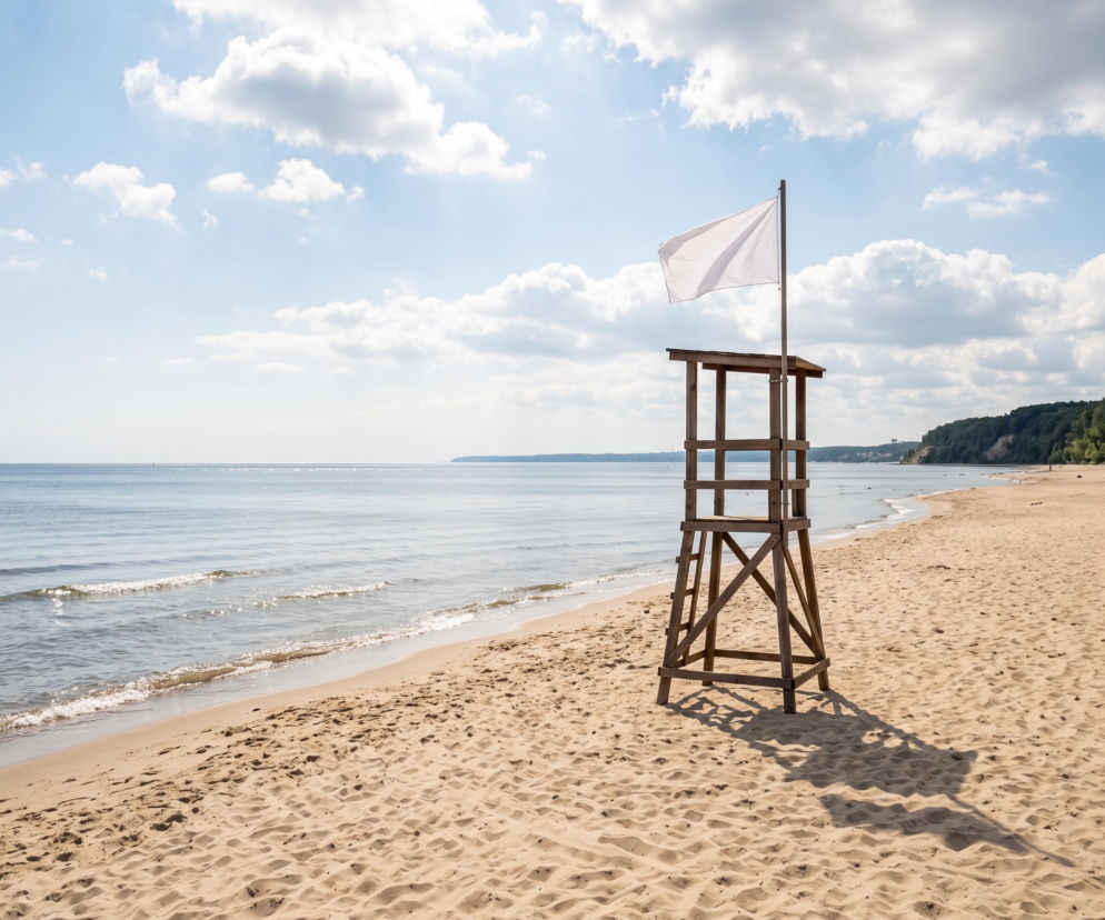 Sinice Gdynia. Czy w Gdyni można się kąpać 31.07? Flaga, warunki pogodowe