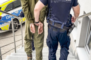 Zabił szczenięta, grozi mu do 5 lat więzienia. 30-latek z zarzutami!