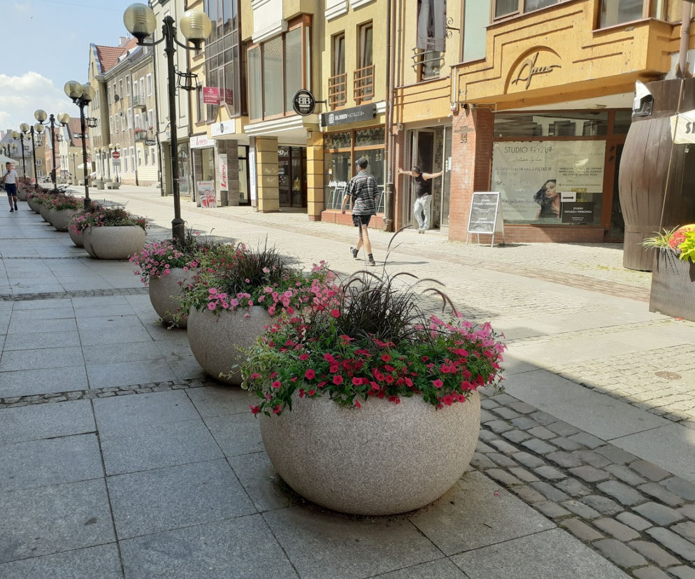 Olsztyn. Staromiejskie donice wypełniły się kolorowymi kwiatami [ZDJĘCIA]