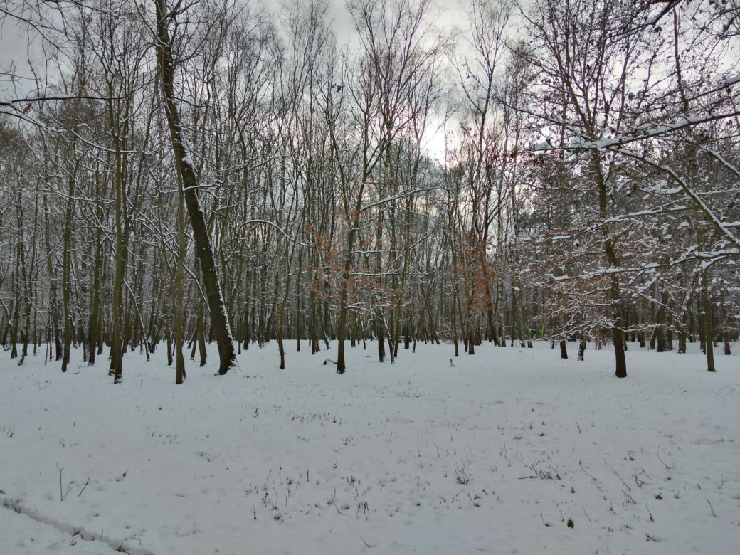 Śnieg zasypał Tarnów, teraz czas na mróz. Będzie PRZEŹLIWIE zimno